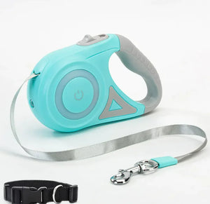 Retractable dog Leash Spotlight
