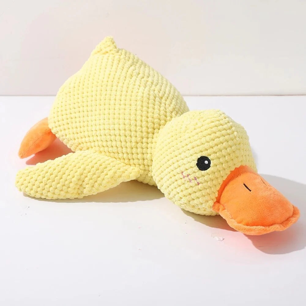 The Quack-Quack Duck Dog Toy!